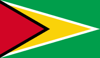 Flag gy.png