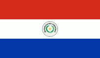 Flag py.png