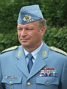 Vlastimil Picek /indep./ 2013